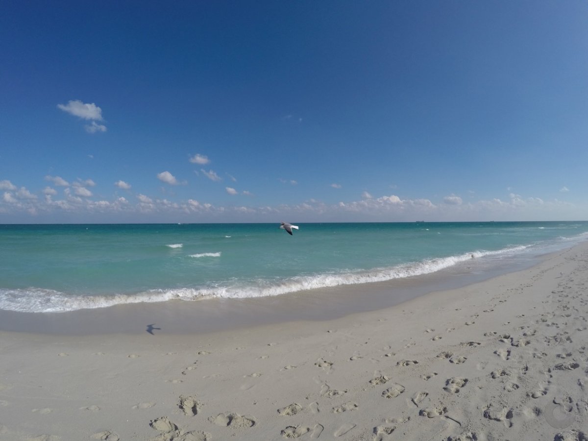 Miami Beach — foto de viajante