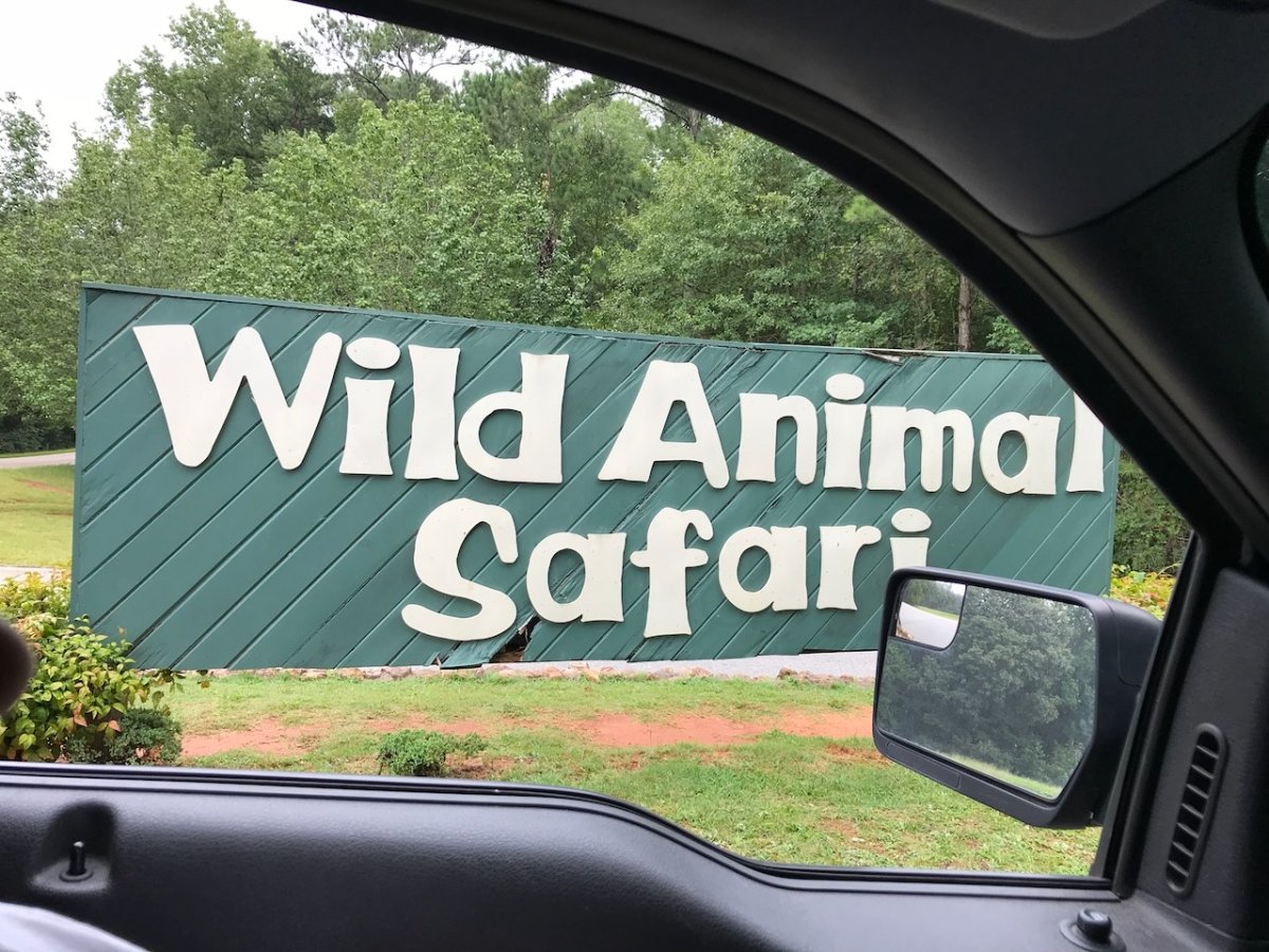 ‎⁨Wild Animal Safari⁩ em Oak Grove, Geórgia, Estados Unidos
