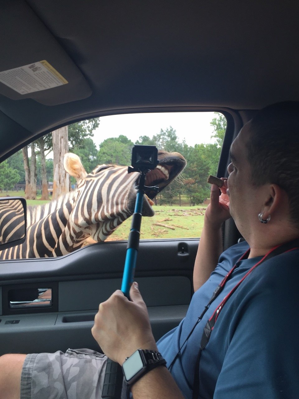 ‎⁨Wild Animal Safari⁩ — foto de viajante