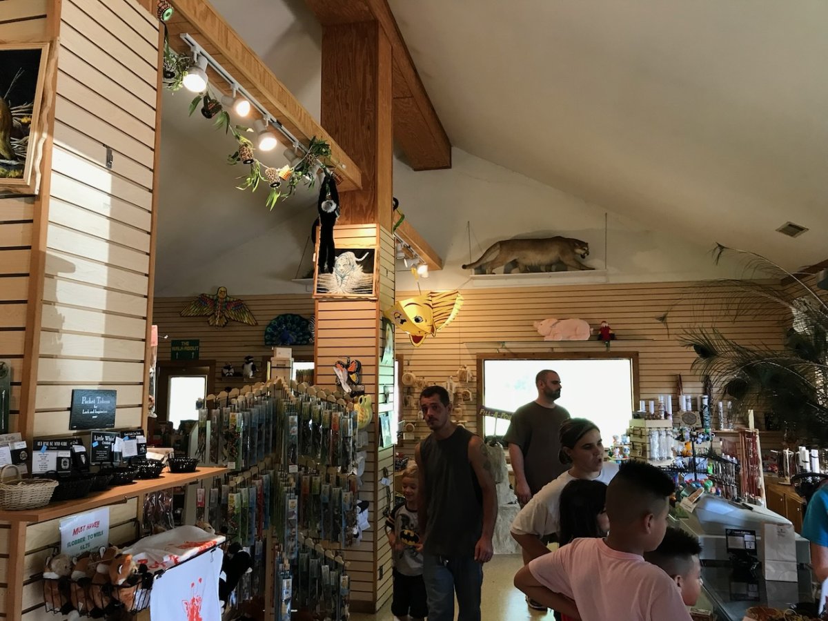 ‎⁨Wild Animal Safari⁩ — foto de viajante