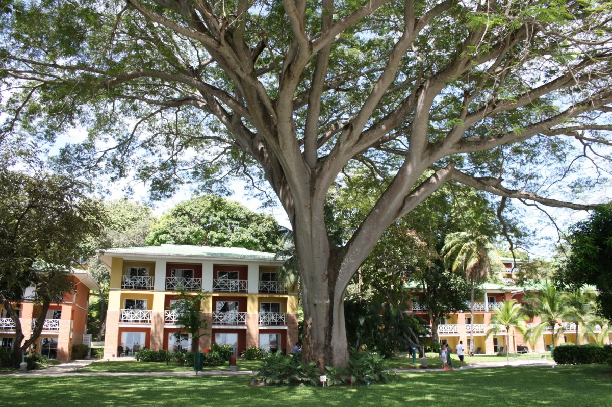 Royal Decameron Panamá — foto de viajante