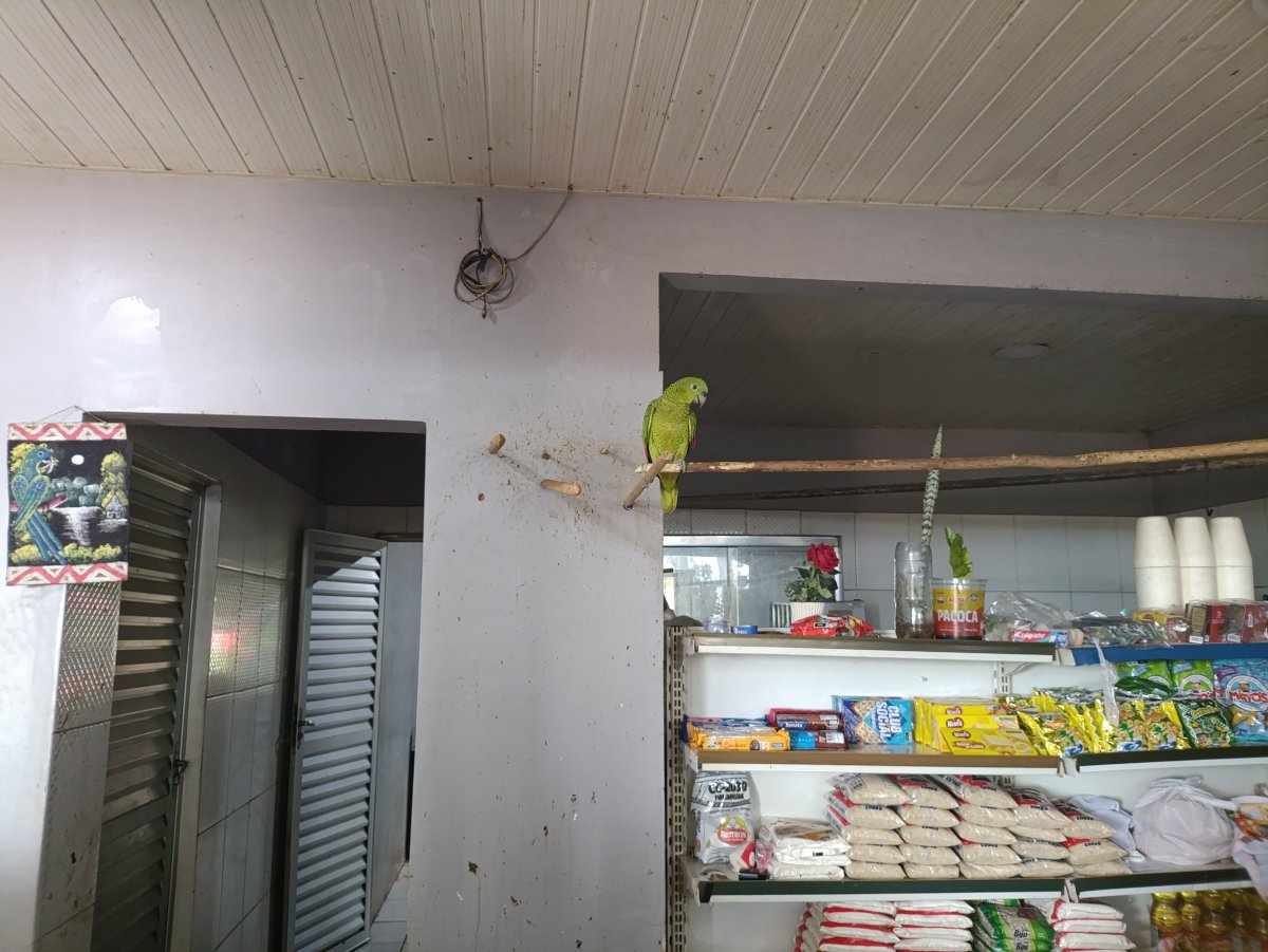 Posto de Gasolina em Jundiá, Roraima, Brasil